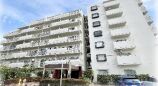 【外観】
南向きで日当たり良好なマンション。バルコニー付きで開放感があり、周辺環境も整った快適な住まいです。