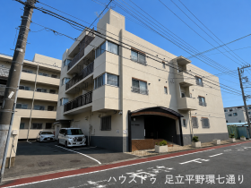 概観画像