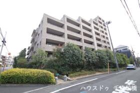 概観画像