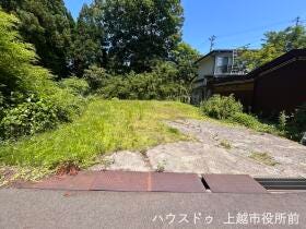 概観画像