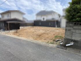 概観画像