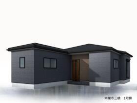概観画像