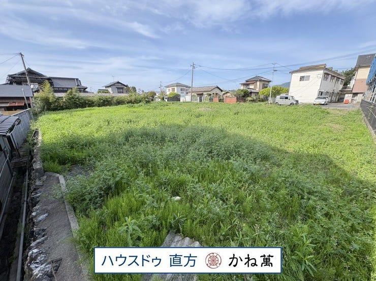 2026.4.11撮影