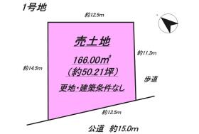 概観画像