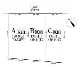 概観画像