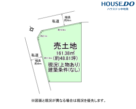 概観画像