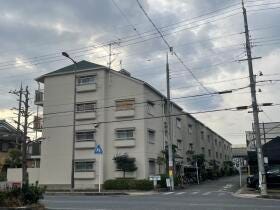 概観画像