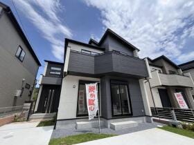 概観画像
