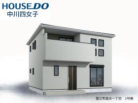 概観画像
