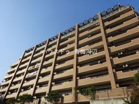 青梅市千ヶ瀬町４丁目