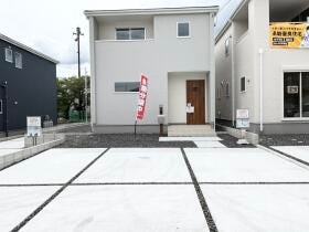 概観画像