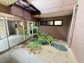 概観画像