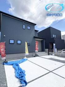 概観画像