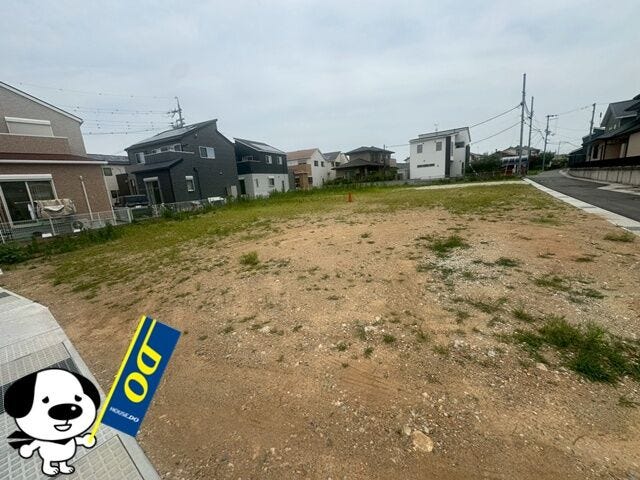 2026年6月撮影