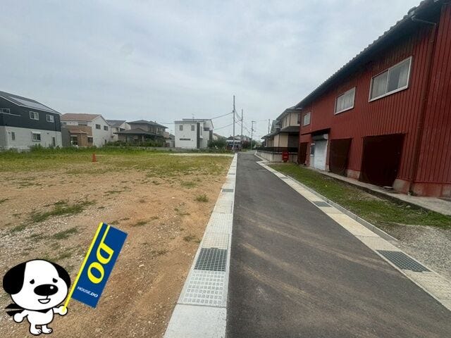 2026年6月撮影