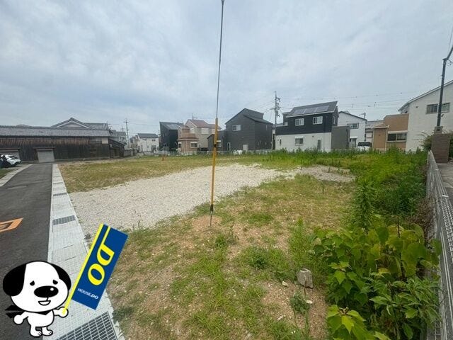 2026年6月撮影