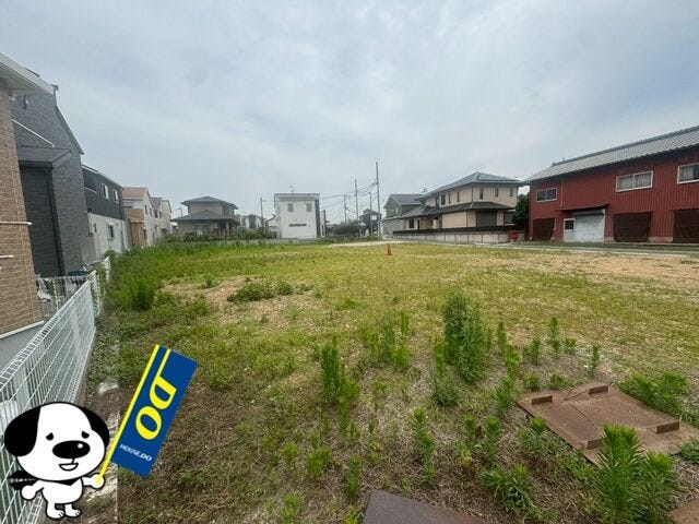 2026年6月撮影