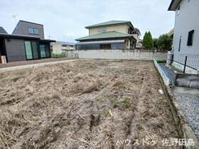 概観画像