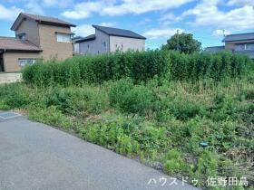 概観画像