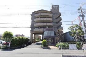 概観画像