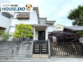 概観画像