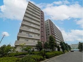 概観画像