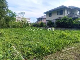 概観画像