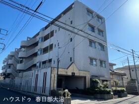概観画像