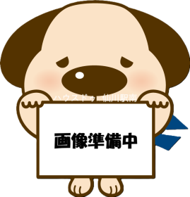 概観画像
