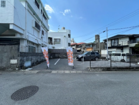 概観画像