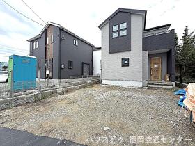概観画像