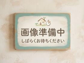 概観画像