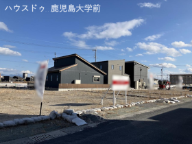 概観画像