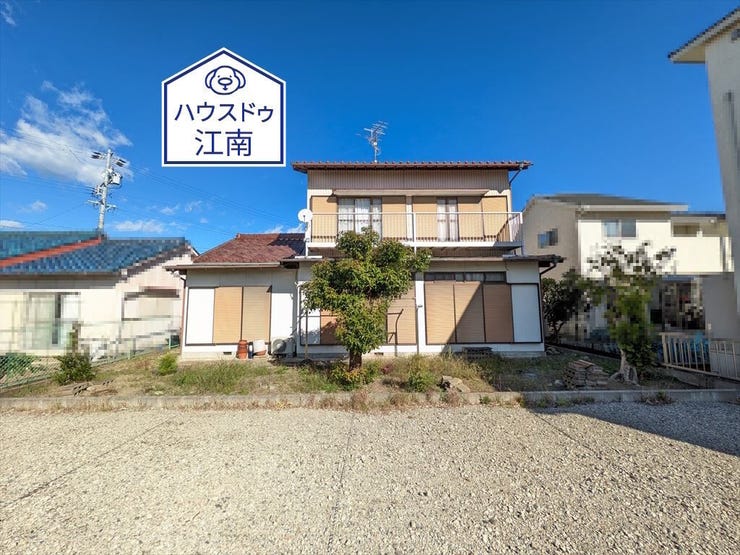 2024/11/18撮影