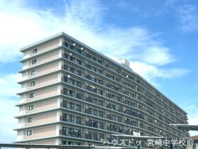 概観画像