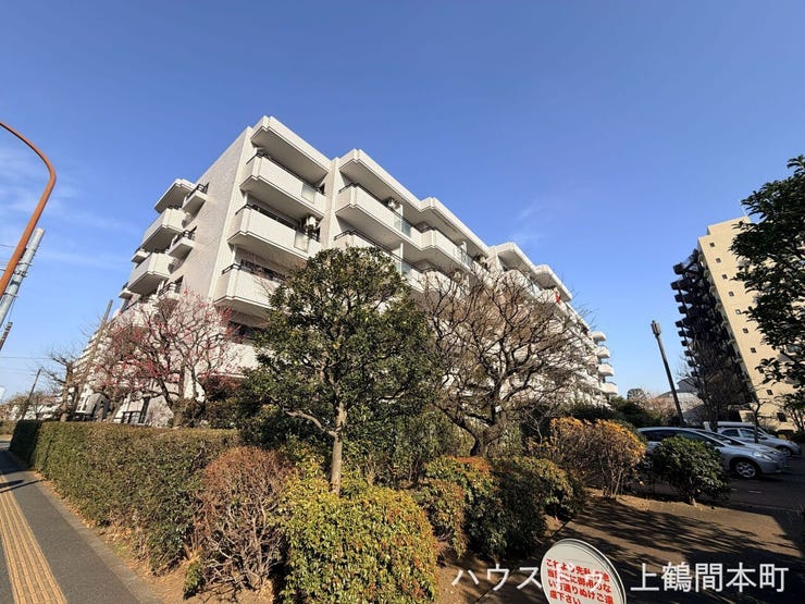 丁寧に使われてきたことが伝わる、安心感のある住まいです