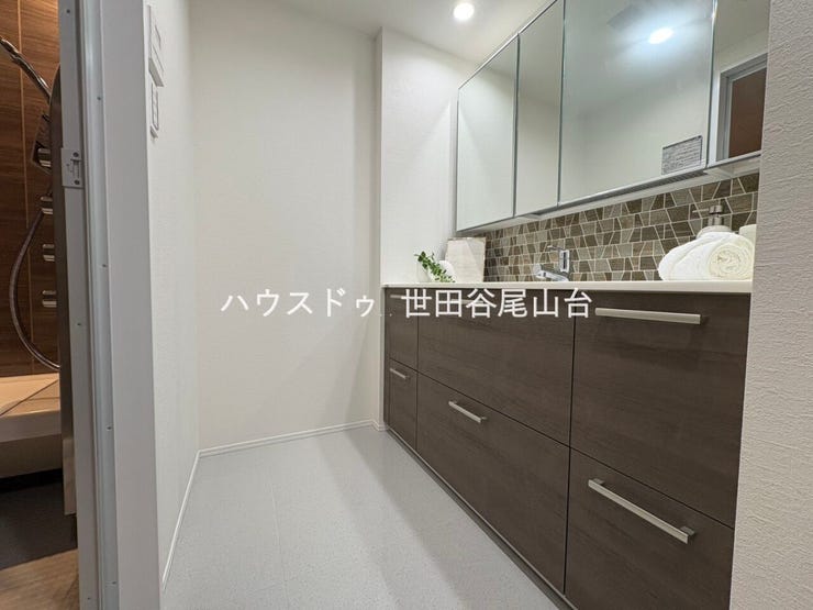 新規交換済みの洗面化粧台を採用。毎日の身支度を快適にサポートします。