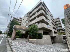 概観画像