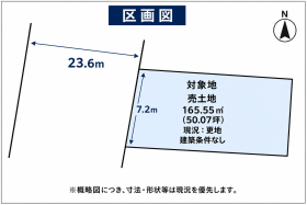 概観画像