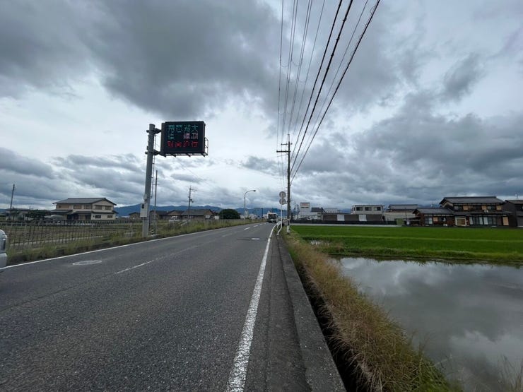2026年6月撮影