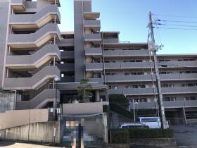 概観画像