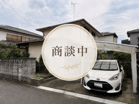 概観画像