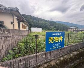概観画像