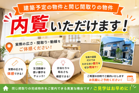 概観画像
