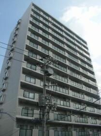 概観画像