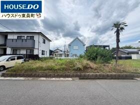 概観画像