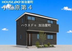 概観画像