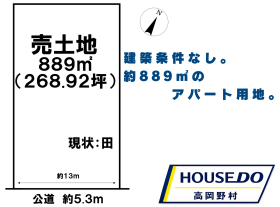 概観画像