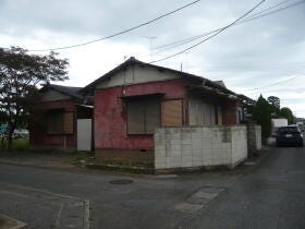 概観画像