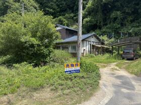 概観画像